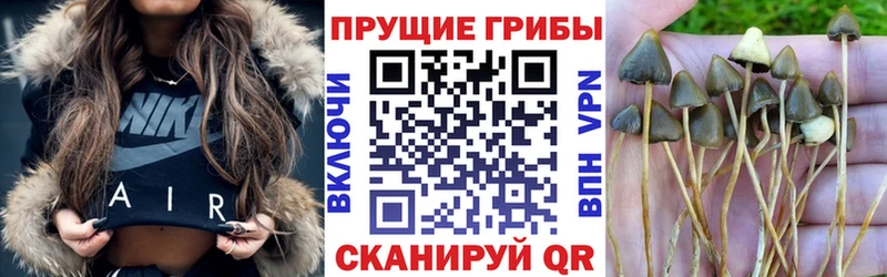 KRAKEN как зайти  Азнакаево  Псилоцибиновые грибы Cubensis 